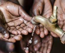 PLENTY WOOD, BUT NO WATER!