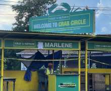 CRAB CIRCLE PUTS STREET FOOD AT RISK CRAB CIRCLE PUTS STREET FOOD AT RISK