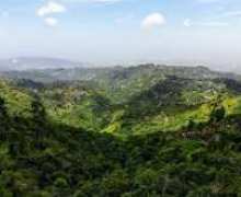 SCENIC ROUTES FOR THE CURFEW